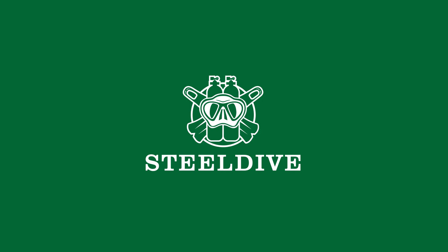 Steeldive New Watch SD1953C Water Ghost Diver Watch Men 300M Waterproof Sapphire Glass Ceramic Bezel NH35 Automatic Men Dive Wat