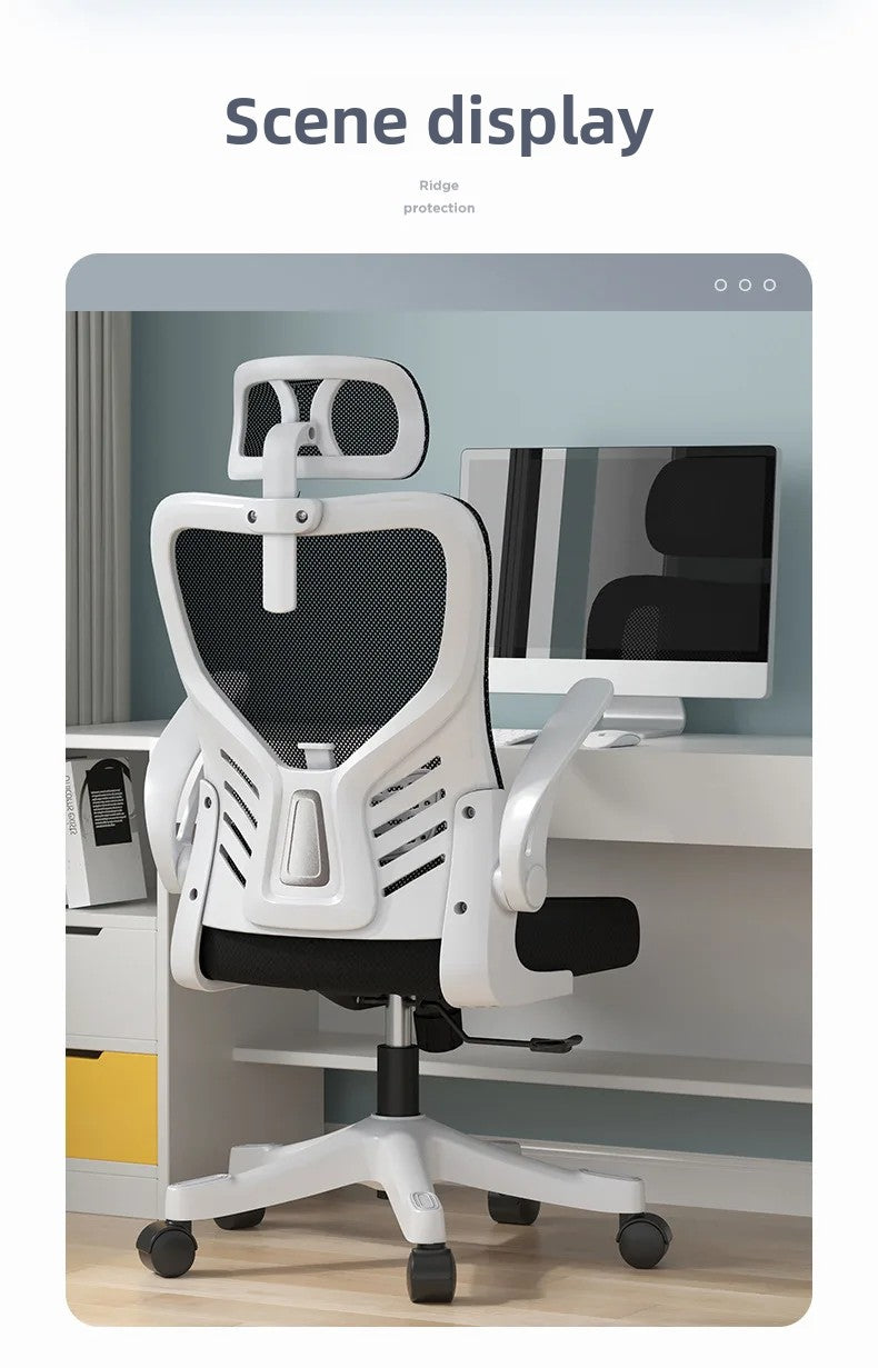 Office chairComputer  Office  Ergonomic  Office Sedentary Learning  Mahjong  Conference  Dormitory