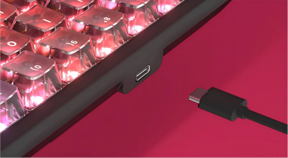 DarKBeacon RGB 87 Tasten kompaktes TKL-Keyboard, USB-kabelgebunden, Hot-Swappable, leise mechanische Tastatur für Windows-Laptop, PC, Gaming und Arbeit