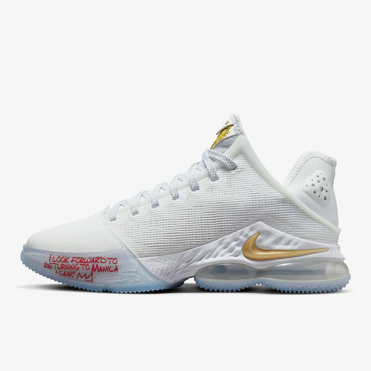 Nike Authentic LEBRON 19 LeBron 19 Unisex Performance Basketball Shoes DV3334-100