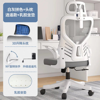 Office chairComputer  Office  Ergonomic  Office Sedentary Learning  Mahjong  Conference  Dormitory