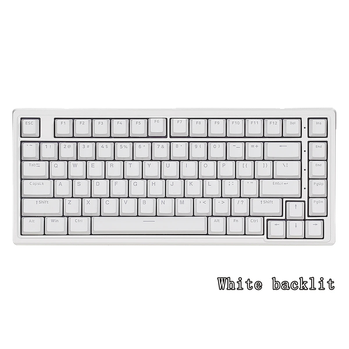 HEXGEARS M2 Mechanical Keyboard 87 Key Hot Swap PBT Gasket Structure White Backlit Macro Defined Gaming Mechanical Keyboard