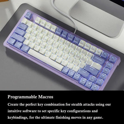 HEXGEARS M2 Mechanical Keyboard 87 Key Hot Swap PBT Gasket Structure White Backlit Macro Defined Gaming Mechanical Keyboard